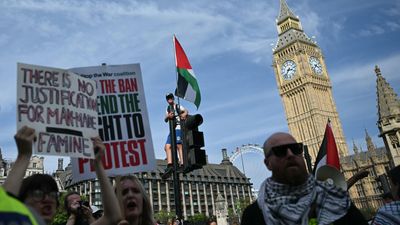UK police make nearly 900 arrests at Palestine Action demo in London