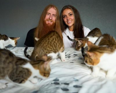 Couple tell of ordeal when kittens went missing after being left in plane hold
