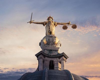 Watchdog fails wrongly convicted owing to lack of forensic expertise, experts say