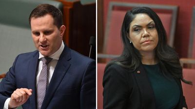 Libs feud as power broker wants Indian comment apology