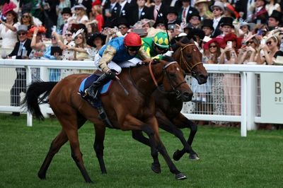 Racing Betting Tax Hike Will Bring 'Communities To Their Knees': Gosden