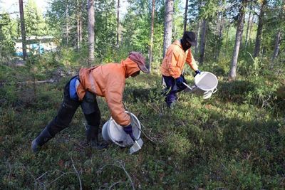 Company in Finland exploited dozens of Thai workers, court says
