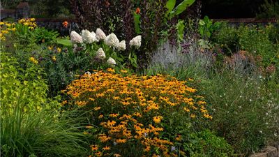 5 ways to attract wildlife to your yard in fall – they're all easy (and even free) to do