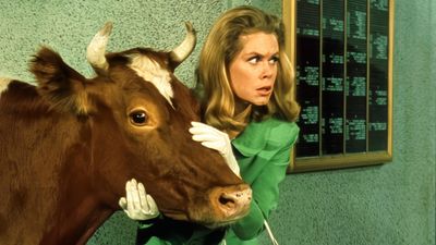 My favorite classic sitcom is now streaming on Hulu — watch 8 seasons of supernatural silliness
