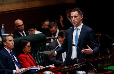 Minns backtracks on right to hunt over fears it could lead to US-style gun future