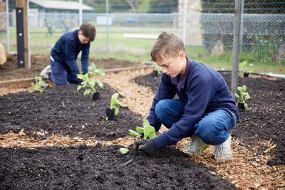 Growing change: a different kind of school garden program is improving student outcomes in Tasmania