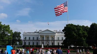 Trump to host UFC octagon cage fight on White House lawn to mark 250 years of US independence