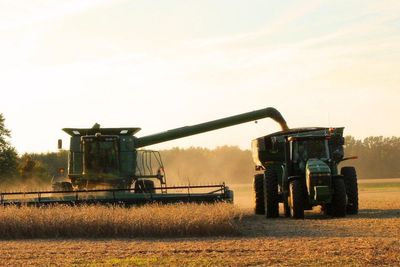 MAGA Farmers Feel Brunt Of Trump Tariffs - Beg US President To Let Them Sell To China