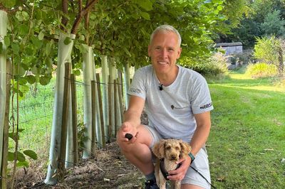 Professor’s joy as truffle is grown on Isle of Bute in ‘landmark’ moment
