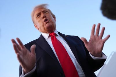 Trump tells foreign companies to ‘hire and train Americans’ after Hyundai immigration raid