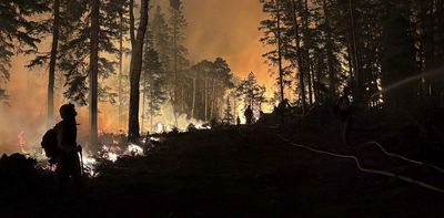 Boosting timber harvesting in national forests while cutting public oversight won’t solve America’s wildfire problem