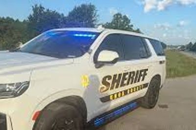 Woman ‘with heart of gold’ killed in savage attack by pack of wild dogs