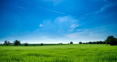 10 Costs of Owning Land That Buyers Rarely Anticipate