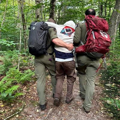 Four hikers on magic mushrooms, one with ‘debilitating high’, rescued in New York