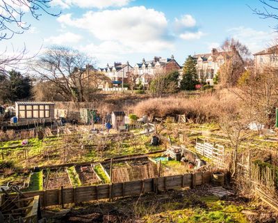 Allotments are a safe space in times of crisis