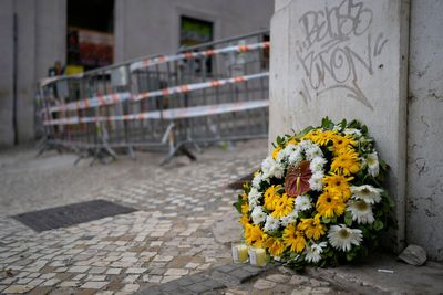 Briton killed in Lisbon funicular crash was a lifelong transport enthusiast