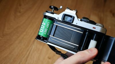 Is photography desaturating? This study looks at the most dominant colors in film photography over the last 15 years, and black and white is booming