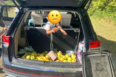 Rotten to the core: Ohio orchard goes viral after outing family that tried to steal $300 worth of apples
