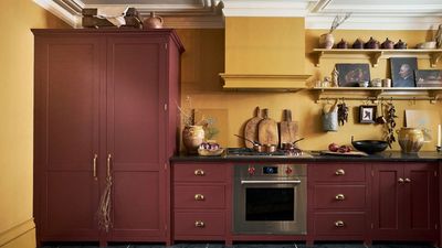 If you love to cook, these 5 vital kitchen sanitizing tasks are non-negotiables for your creations to taste their best – trust me, I'm a professional cleaner