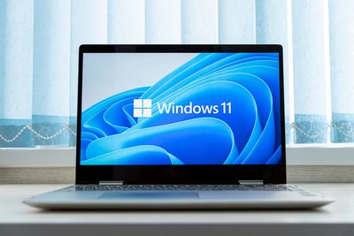 Worried about Windows 10's death? Don't fret – Tiny11 is a lightweight version of Windows 11 that cuts bloatware and can run on older hardware