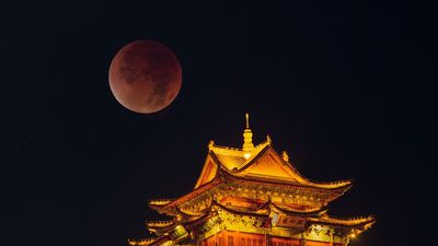 'Blood moon' gallery: Stunning snaps from last night's total lunar eclipse