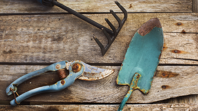 People are using Coca-Cola to clean their gardening tools — here's why it's not a great idea