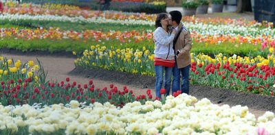 How do flowers know it’s spring? A botanist explains