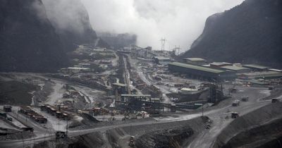 41 British companies profiting from 'destruction' of West Papua, study finds