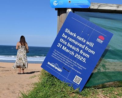 How do shark nets work? After a deadly attack in Sydney, their effectiveness is being questioned
