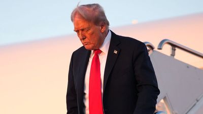 Donald Trump besties scream ‘DEFAMATION’, his wall of denial crumbles, and his disgusting past makes a comeback with damning evidence