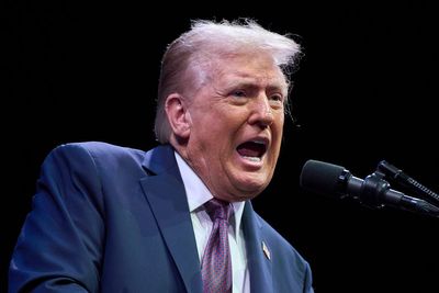 ‘A little fight with the wife’: Trump suggests domestic violence should not be counted in official crime statistics