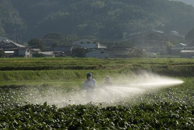 Farmer says 'we're in a very dire situation' ahead of harvest—with zero soybean orders from China, historically the largest buyer