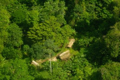Peru accused of violating human rights after government rejects reserve for uncontacted people