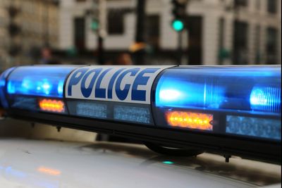 Pig heads left outside Paris mosques in ‘despicable’ act