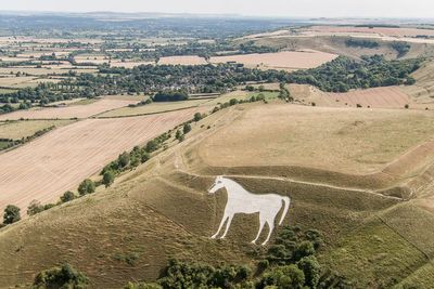 White horse landmark to be examined for damage after red cross pinned to it