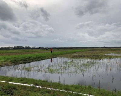 Burning on England’s deep peat banned