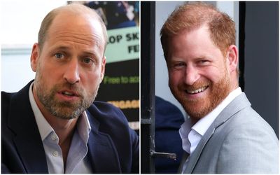 Prince William visits London youth charity as Harry meets children in Nottingham in 'copycat engagement'