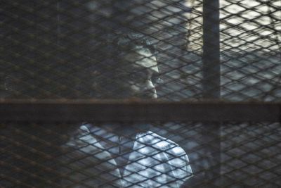 Imprisoned Egyptian activist Alaa Abd el-Fattah on list for presidential pardon and release