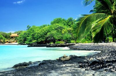 'It's Your Honeymoon. You Get One Of Them' — High Net Worth Couple Questions If Spending $10K On A 10-Night Maui Trip Is Responsible Or Excessive