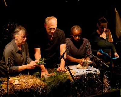 ‘We spent a week on the cow birth!’ The eye-opening play about animals with sound effects instead of words