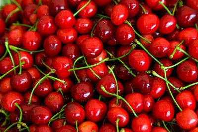 Scientists Reveal Eating Cherries in THIS Way Can Help Prevent Major Illness Affecting 6.7m Americans