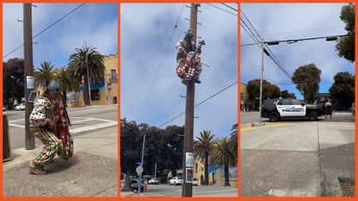 ‘Tell me what law he’s breaking’: Police unsure how to deal with crazy cello player perched on telephone pole