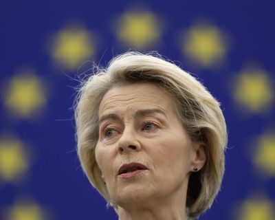 Von der Leyen under growing pressure to take tougher line with Israel
