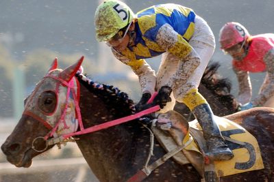 Horse famed for losing every single race and wearing a Hello Kitty mask is mourned: ‘Shining star of losers’