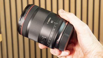 Canon's new RF 85mm F1.4 VCM is a pin-sharp and dreamy portrait lens, at a much lower price than the 85mm F1.2