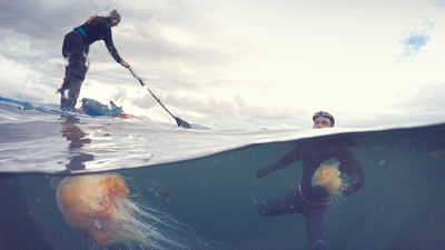 Record-breaker Ross Edgley completes his "toughest and most ambitious challenge," by swimming 1,000 miles around Iceland