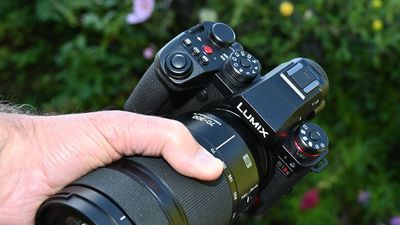 Panasonic Lumix S1IIE review: the powerful pedestrian