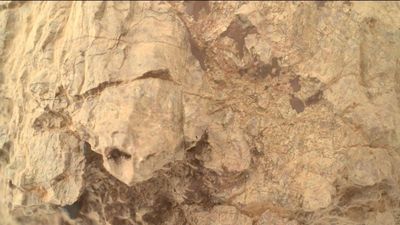 NASA spots bizarre 'turtle' on Mars