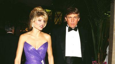 ‘What if I pushed her down the stairs?’: Author alleges Trump asked Epstein if assault would make pregnant Marla Maples miscarry