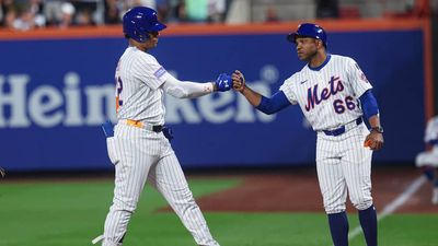Juan Soto Classily Credited Mets Coach After Reaching Exclusive Club